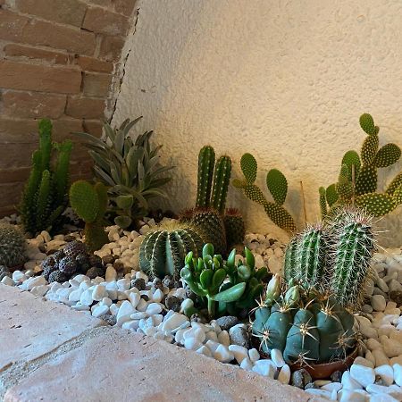 Cactus Suite Pisa Bagian luar foto