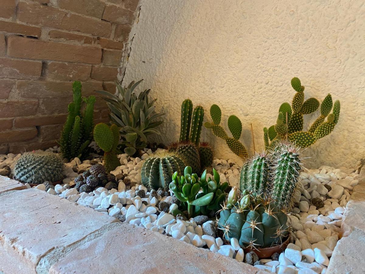Cactus Suite Pisa Bagian luar foto